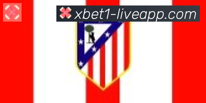 1xbet体育合作伙伴